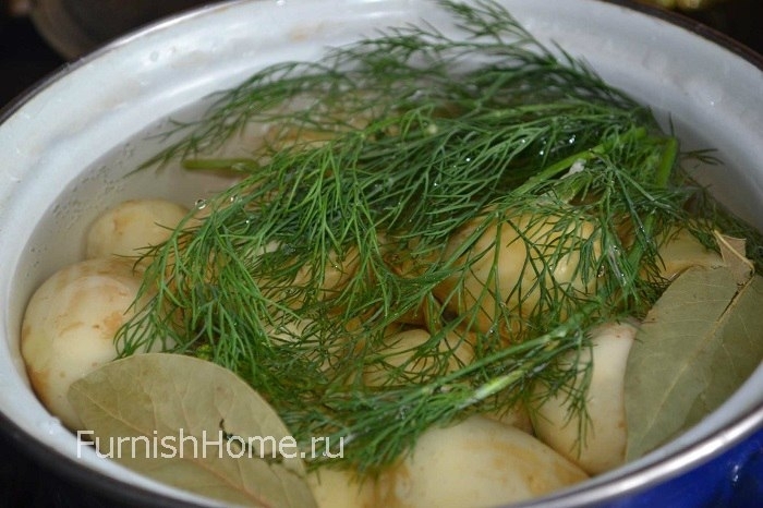 Молодая картошка с укропом