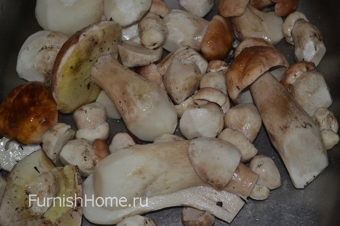 Малосольные белые грибы