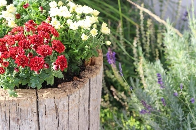 Как сделать бревенчатую кадку для цветов в саду