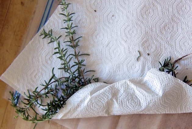 Храните зелень обернутой в бумажное полотенце Храните зелень обернутой в бумажное полотенце