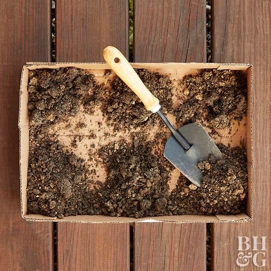 Как определить кислотность почвы в домашних условиях Как определить кислотность почвы в домашних условиях