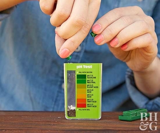 Как определить кислотность почвы в домашних условиях Как определить кислотность почвы в домашних условиях