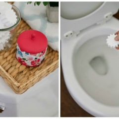 Как сохранить свежесть туалета между обычными чистками