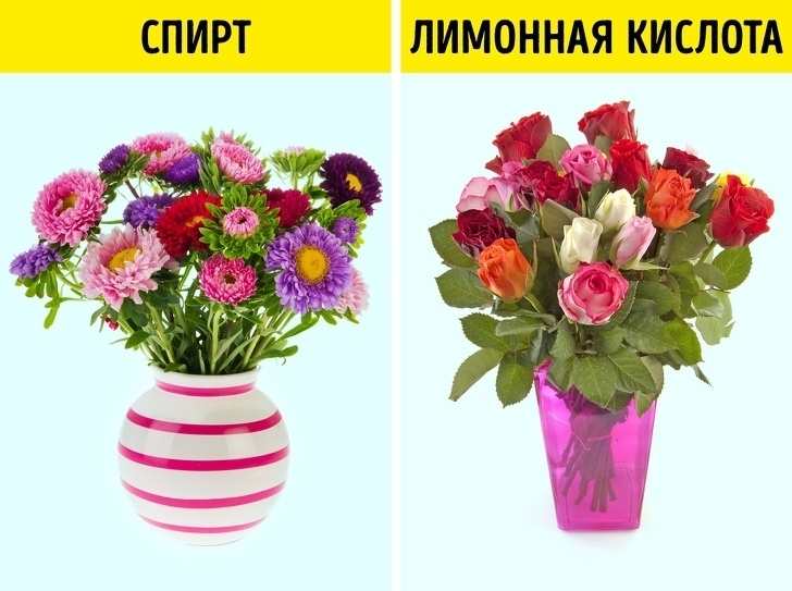 Эффективные и необычные способы оживить цветы о которых знают только флористы