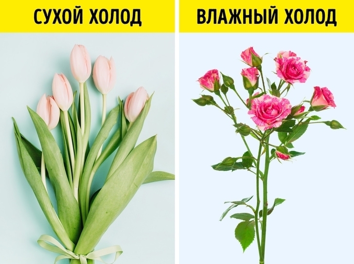 Эффективные и необычные способы оживить цветы о которых знают только флористы