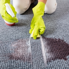 Как удалить самые трудно выводимые пятна на ковре