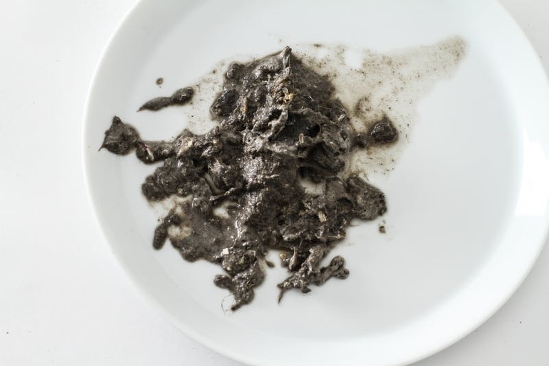 Что произойдет, если положить пылесос в посудомоечную машину