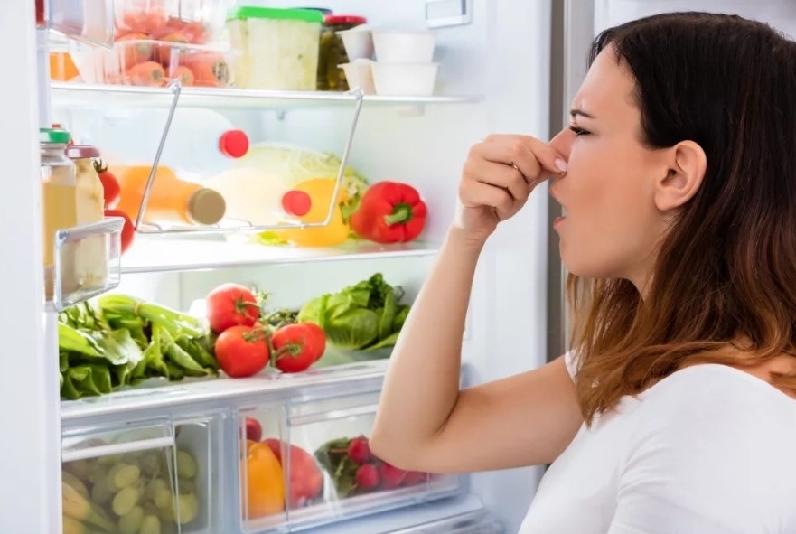 Как сделать для холодильника дезодорант, поглощающий запахи