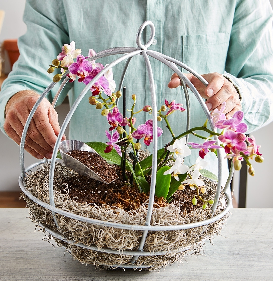 Как сделать подвесное кашпо для орхидеи