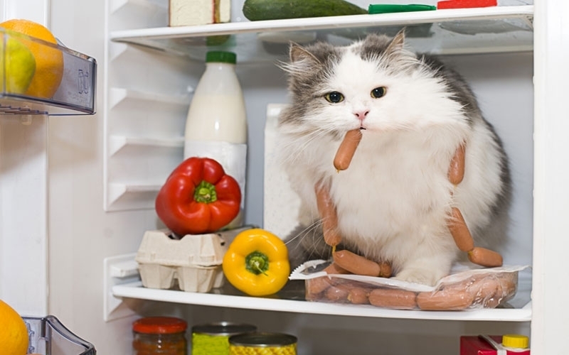 10 продуктов, которые мы портим, когда кладем в холодильник
