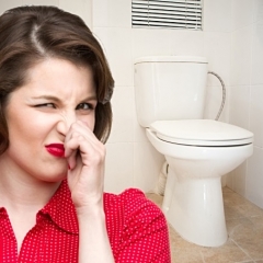Как устранить неприятный запах из канализации в туалете, на кухне или в ванной комнате
