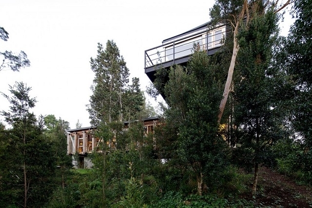 Загородный дом в чилийском лесу
