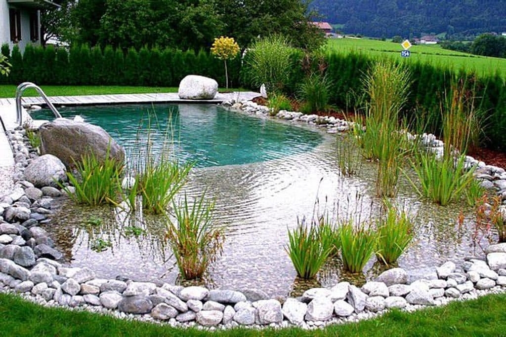 Как построить бассейн: отдых в своем дворе