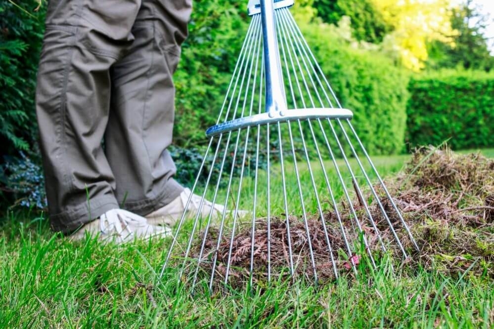 Садовые хитрости: 9 полезных способов использования скошенной травы