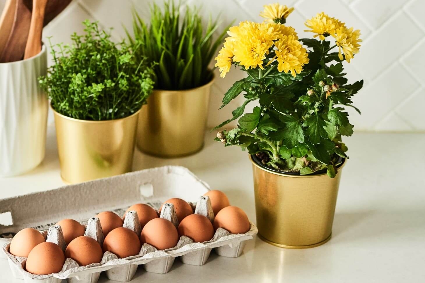 Вам не следует выливать воду, после того как вы сварили яйца вкрутую. Сохраните ее для ваших растений.