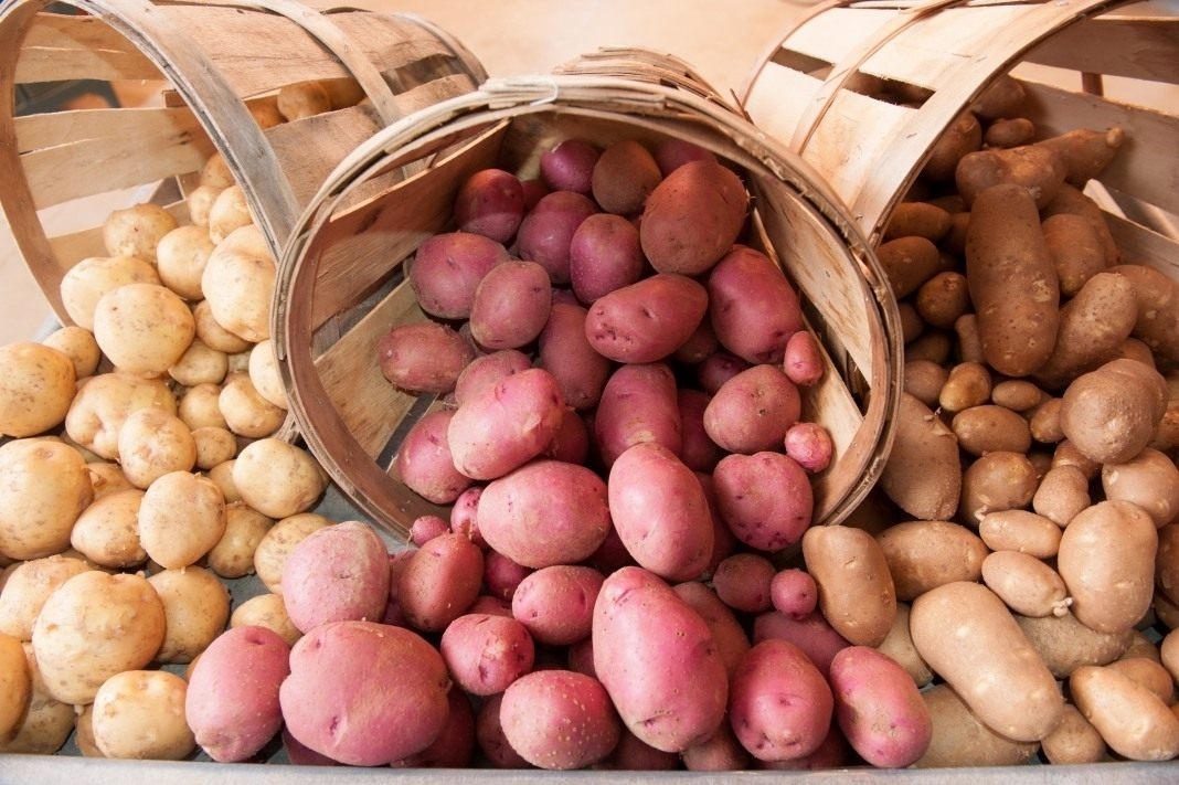 5 распространенных ошибок при хранении картофеля