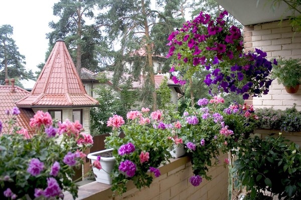 Простые идеи озеленения балкона