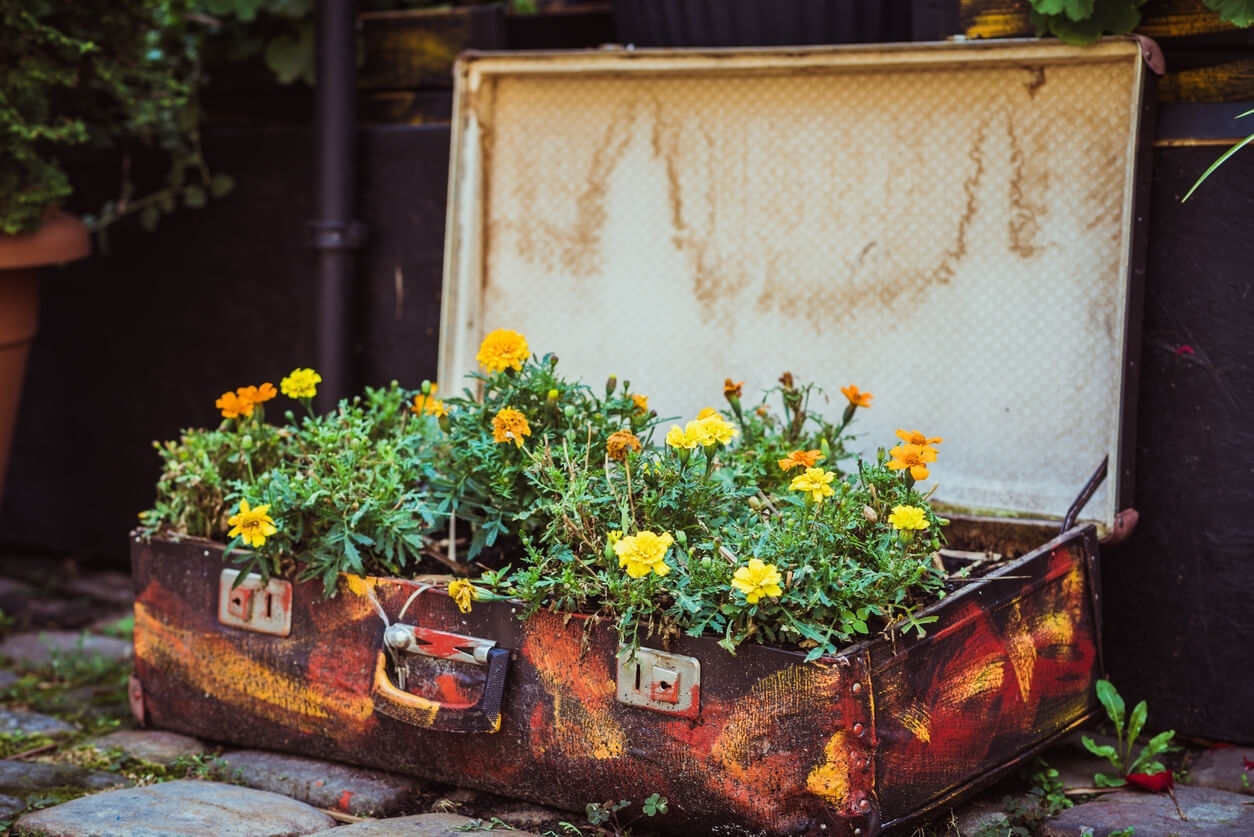 Необычные цветочные горшки для сада: DIY идеи для уличных контейнеров