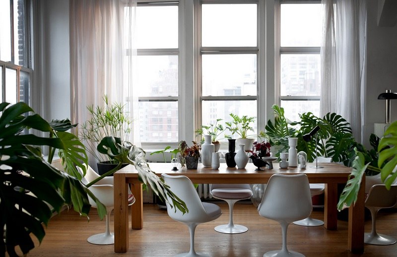 Как можно улучшить качество воздуха в квартире?