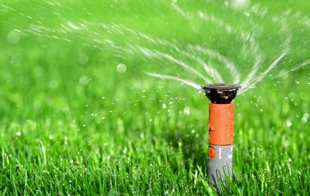 Полив газона
