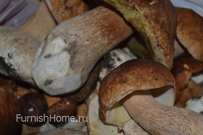 Малосольные белые грибы