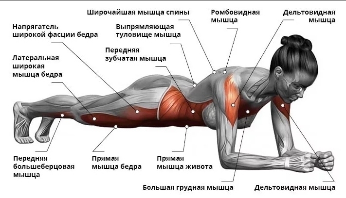 Как похудеть в области живота - 6 секретов