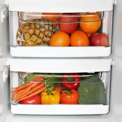Эксперты выяснили, где заводится 80 процентов бактерий в каждом холодильнике