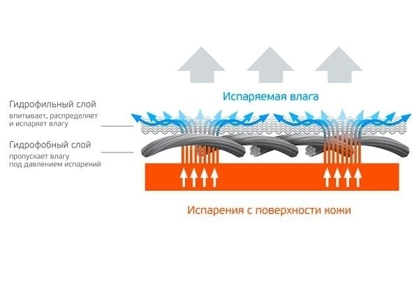 Надевать или нет трусы под термобелье?