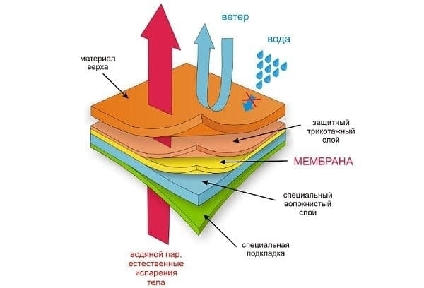 Надевать или нет трусы под термобелье?