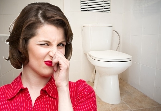 Как устранить неприятный запах из канализации в туалете, на кухне или в ванной комнате
