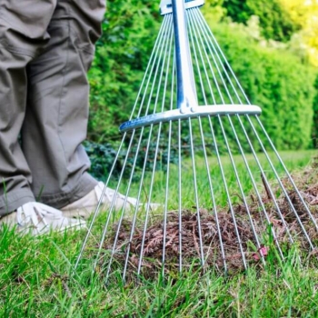 Дачные хитрости: 9 полезных способов использования скошенной травы