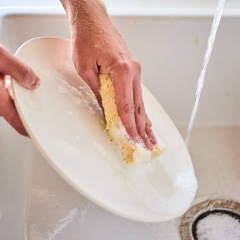 Бесплатный и легкий способ сделать вашу губку для мытья посуды менее грязной