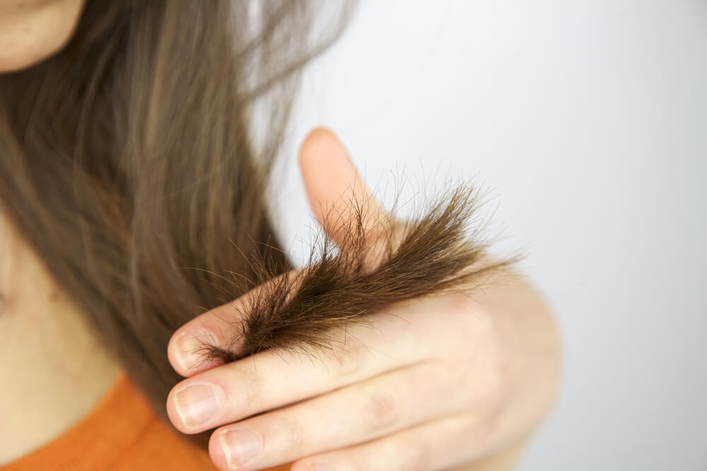 Лечение волос в домашних условиях: советы, рецепты