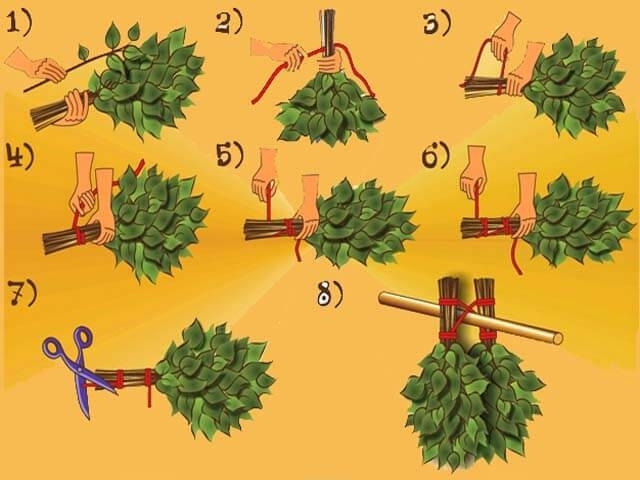 Когда готовят веники для бани и какие виды бывают