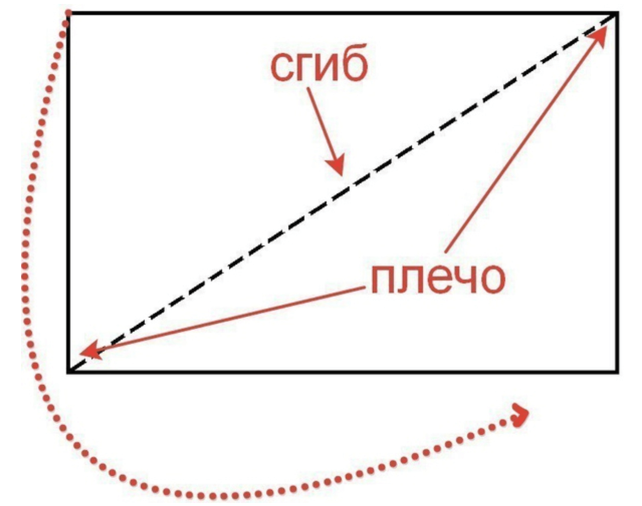 Блузки и оригинальный топ: как сшить своими руками для дома или на выход