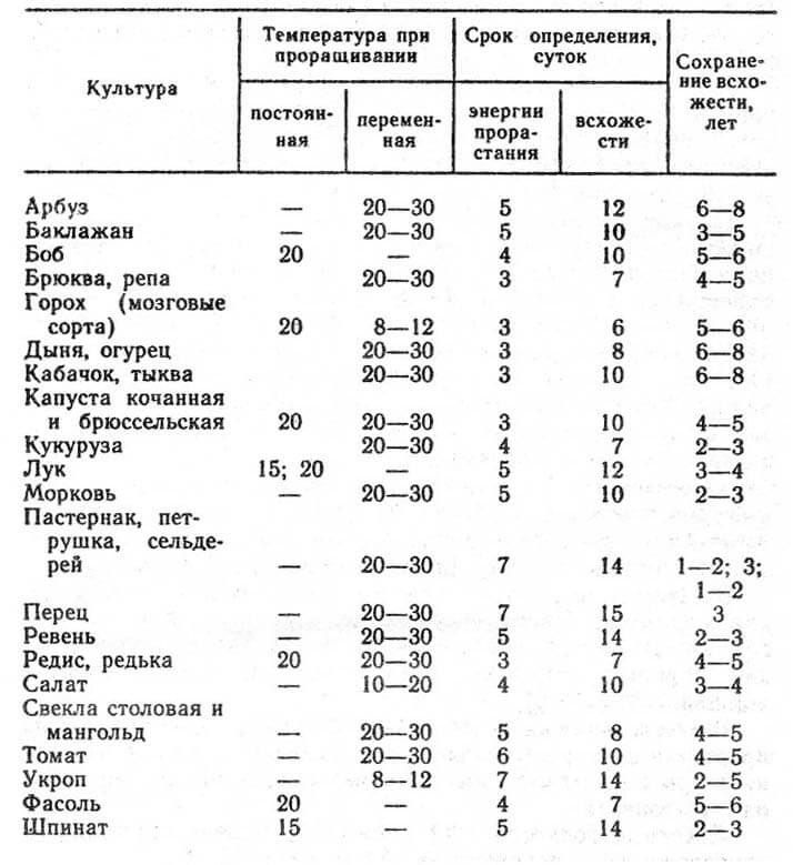 Не взошли семена? Вот список типичных причин неудачного посева