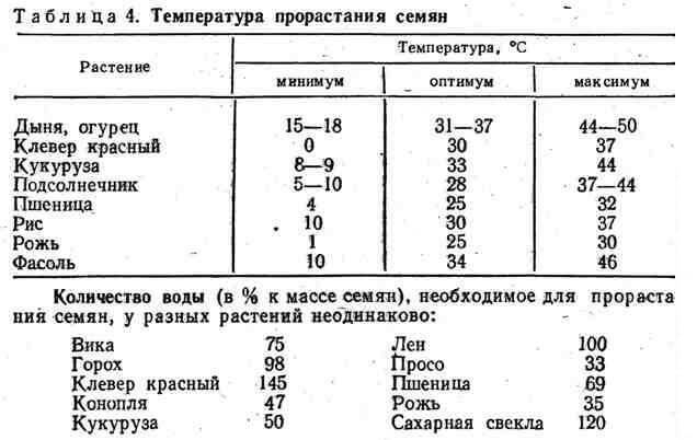 Не взошли семена? Вот список типичных причин неудачного посева