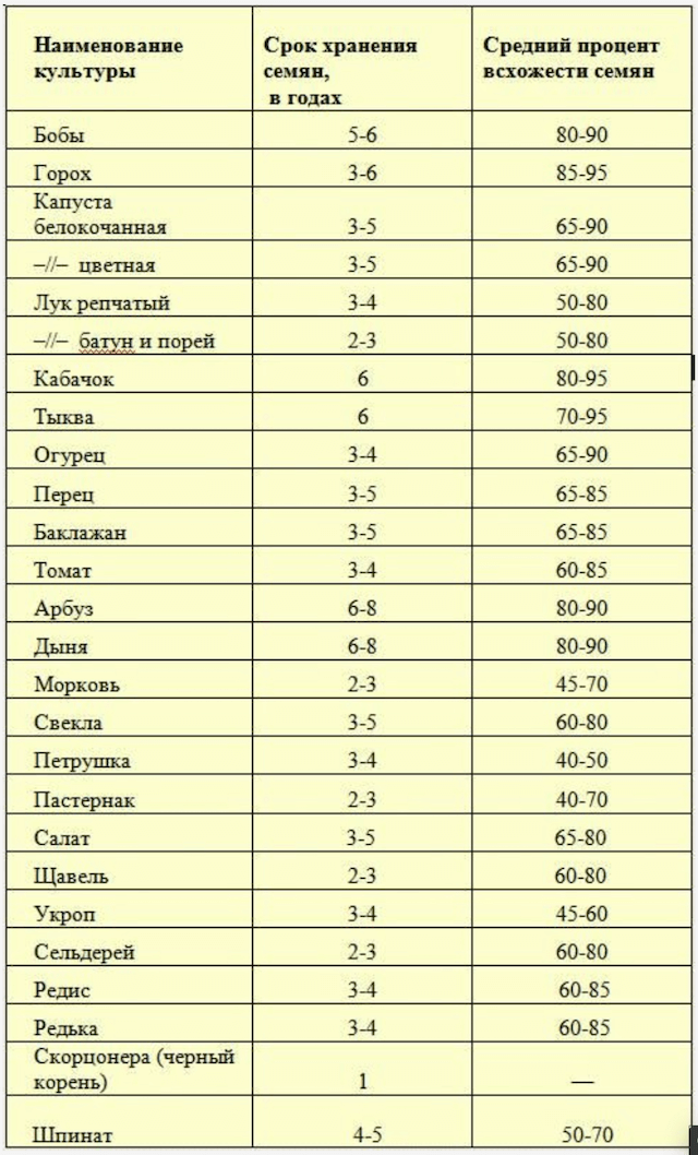 Не взошли семена? Вот список типичных причин неудачного посева