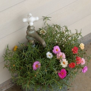 Оригинальная цветочная клумба для вашего сада из старого ведра