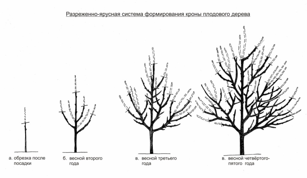 Обрезка деревьев