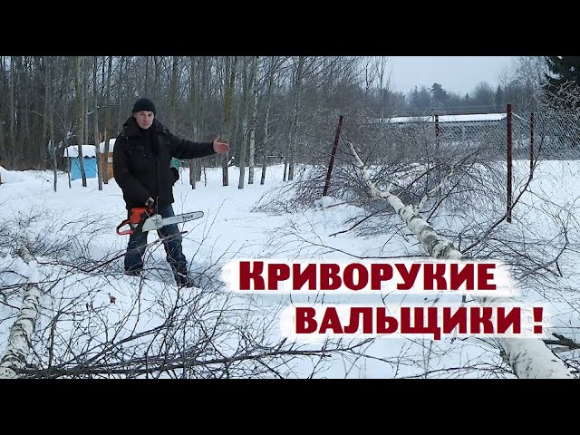 Умудрились - таки уронить дерево прямо себе на забор!