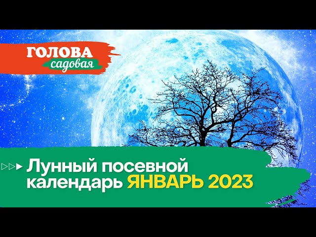 Лунный посевной календарь январь 2023