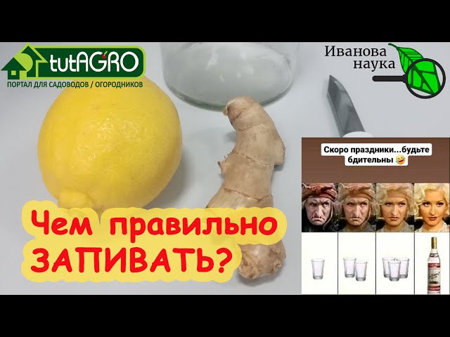 Чем запивать и что пить, чтобы на утро не болеть