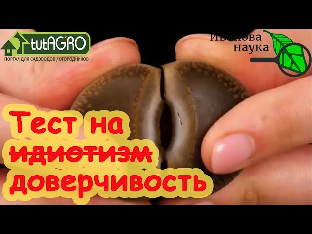 Тест на проверку вашего ума