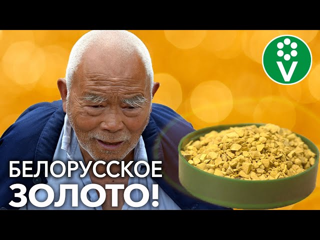 Эффективные биопрепараты для растений