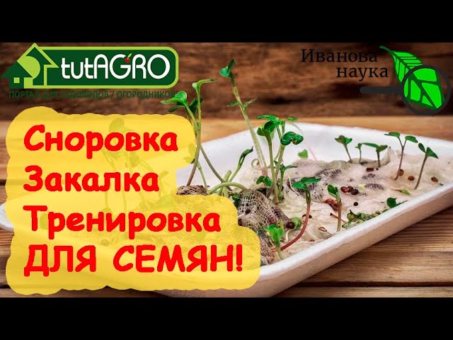 Выращивания крепкой и здоровой рассады