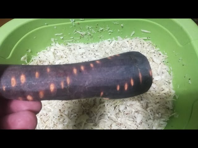 Квашеная капуста с фиолетовой морковью