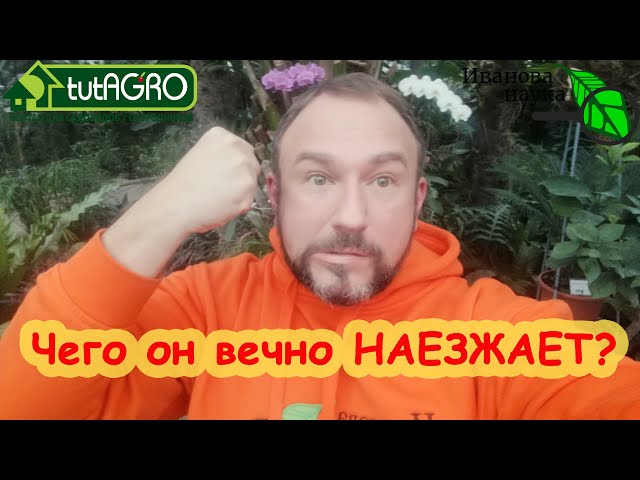 Опасности использования перекиси водорода в саду и огороде и даче