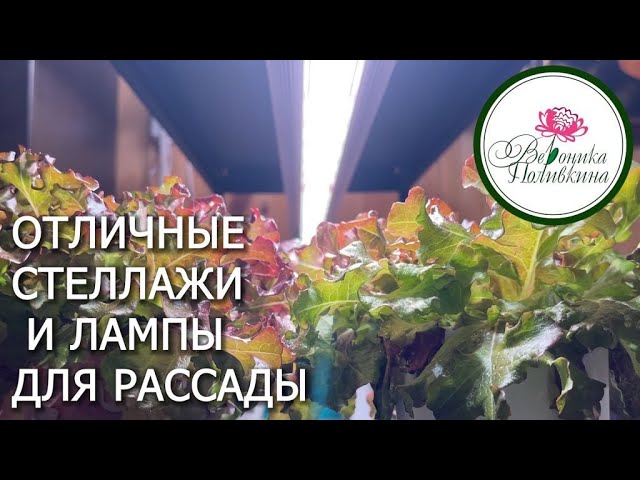 Отличные стеллажи и лампы для рассады