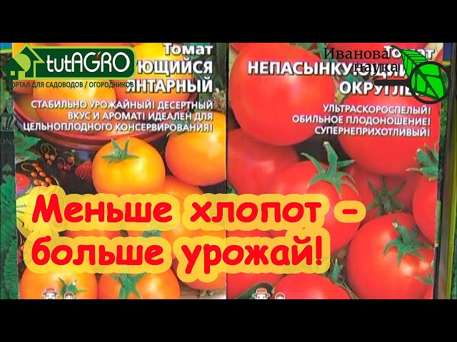 Как выбрать семена ленивых томатов
